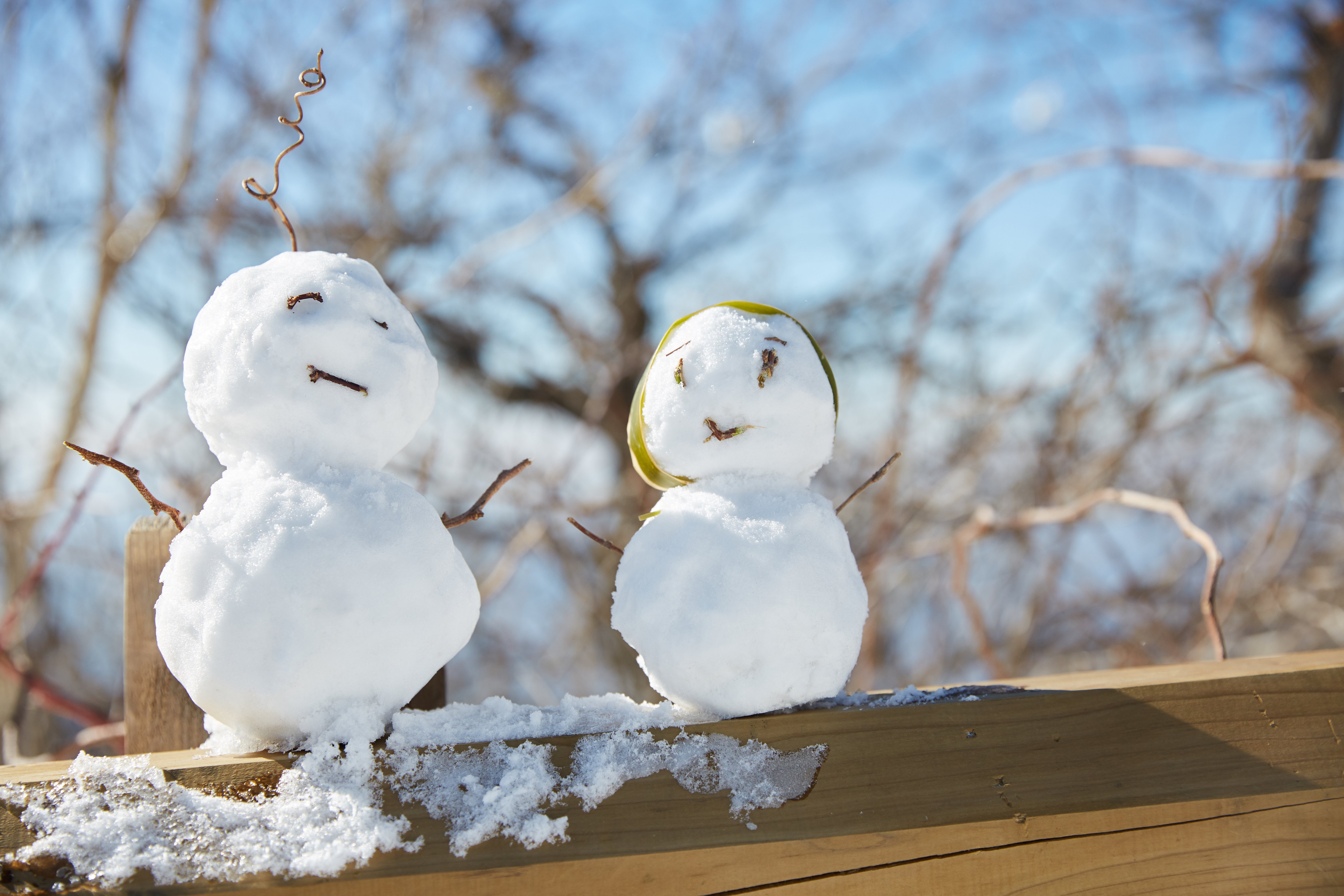 冬至，暖“杨”相伴 | 仲博人全力配合各墓园冬至落葬