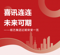 喜讯连连，未来可期 | 仲博集团近期荣誉一览