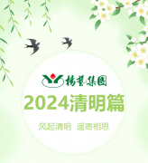 风起清明 遥寄相思|仲博集团?2024清明篇